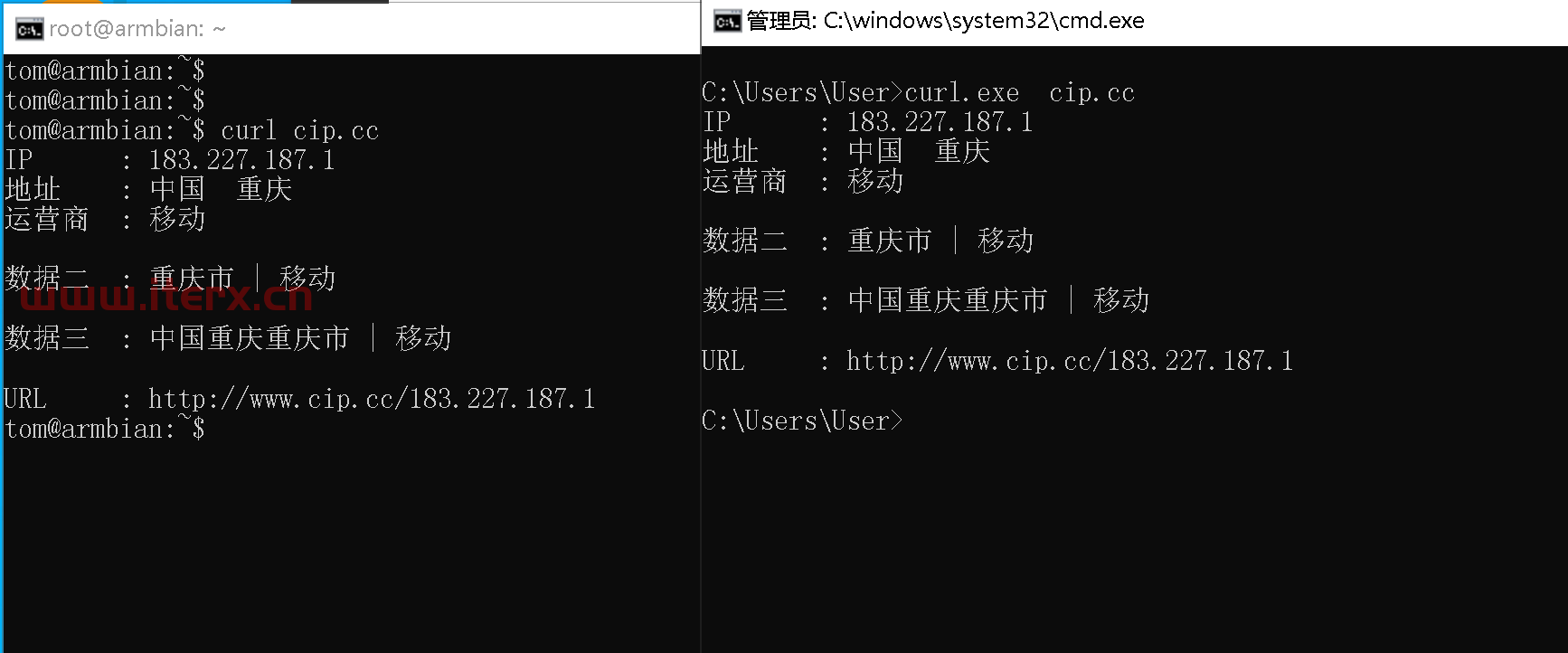 命令行查询本机公网ip地址